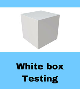 WhiteBox Testing